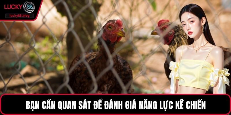 Bạn cần quan sát để đánh giá năng lực kê chiến