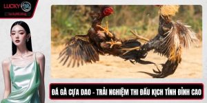 Đá Gà Cựa Dao – Trải Nghiệm Thi Đấu Kịch Tính Đỉnh Cao