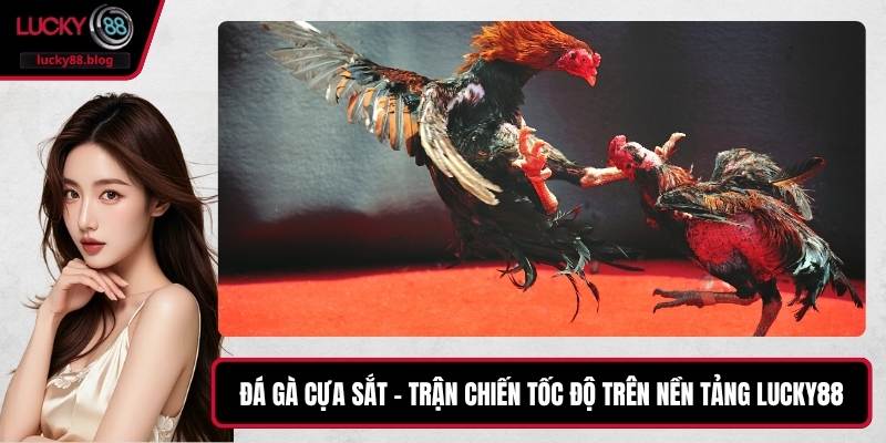 Đá Gà Cựa Sắt – Trận Chiến Tốc Độ Trên Nền Tảng LUCKY88