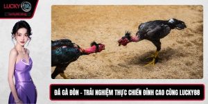 Đá Gà Đòn – Trải Nghiệm Thực Chiến Đỉnh Cao Cùng LUCKY88