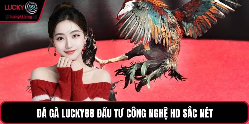 Đá gà LUCKY88 đầu tư công nghệ HD sắc nét