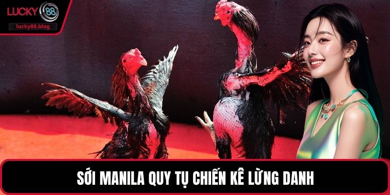 Sới Manila quy tụ chiến kê lừng danh